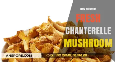 Preserving Chanterelle Mushrooms: Fresh Storage Tips for Optimal Flavor