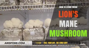 Proper Storage Tips for Fresh Lion's Mane Mushrooms to Maximize Freshness