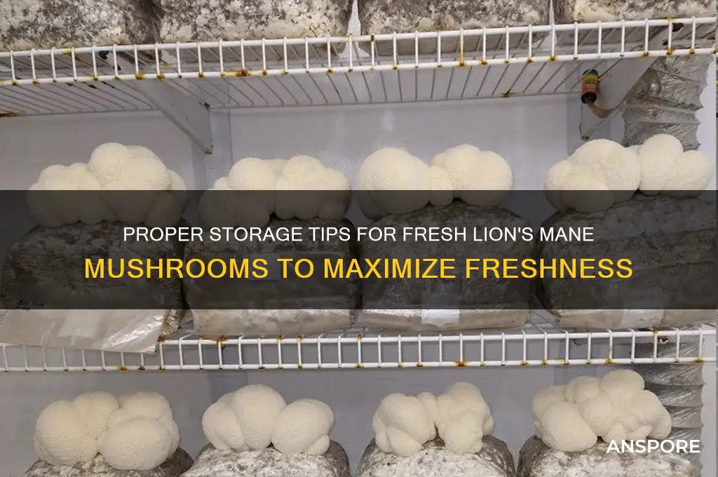how to store fresh lion