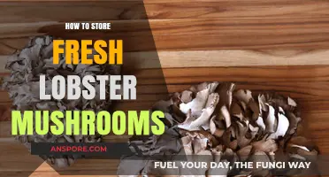 Proper Storage Tips for Keeping Fresh Lobster Mushrooms Longer