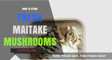 Proper Storage Tips for Fresh Maitake Mushrooms to Extend Freshness