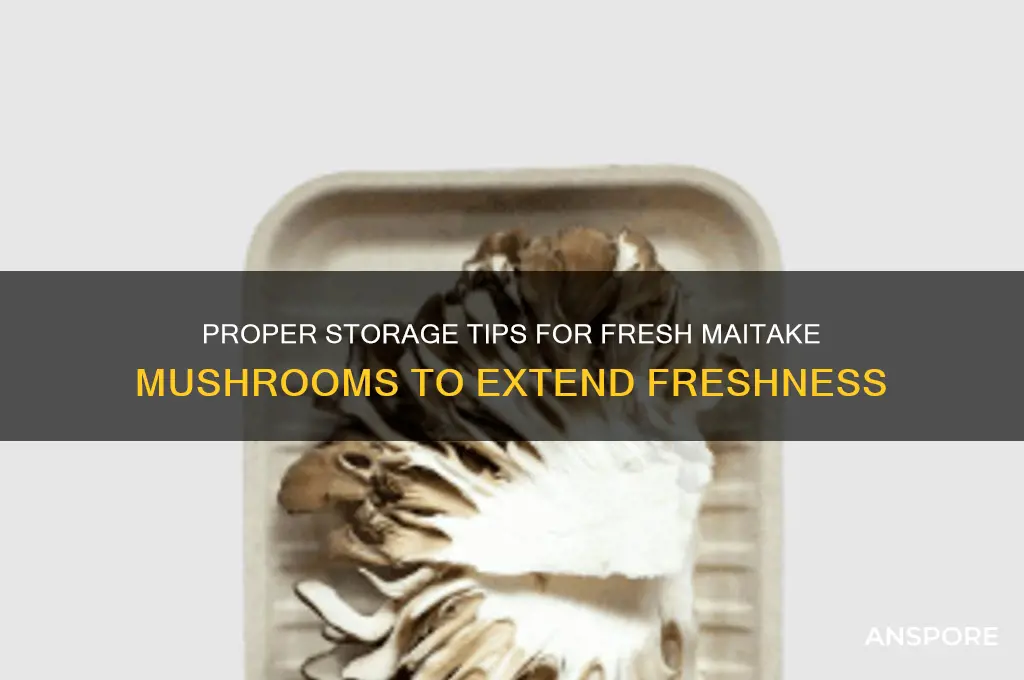 how to store fresh maitake mushrooms
