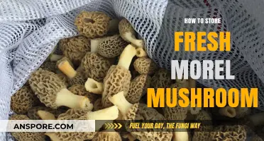 Preserving Morel Mushrooms: Expert Tips for Freshness and Flavor