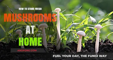 Fresh Mushrooms Storage Guide: Keep Them Perfect at Home