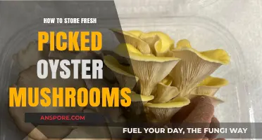 Preserving Freshness: Optimal Storage Tips for Oyster Mushrooms