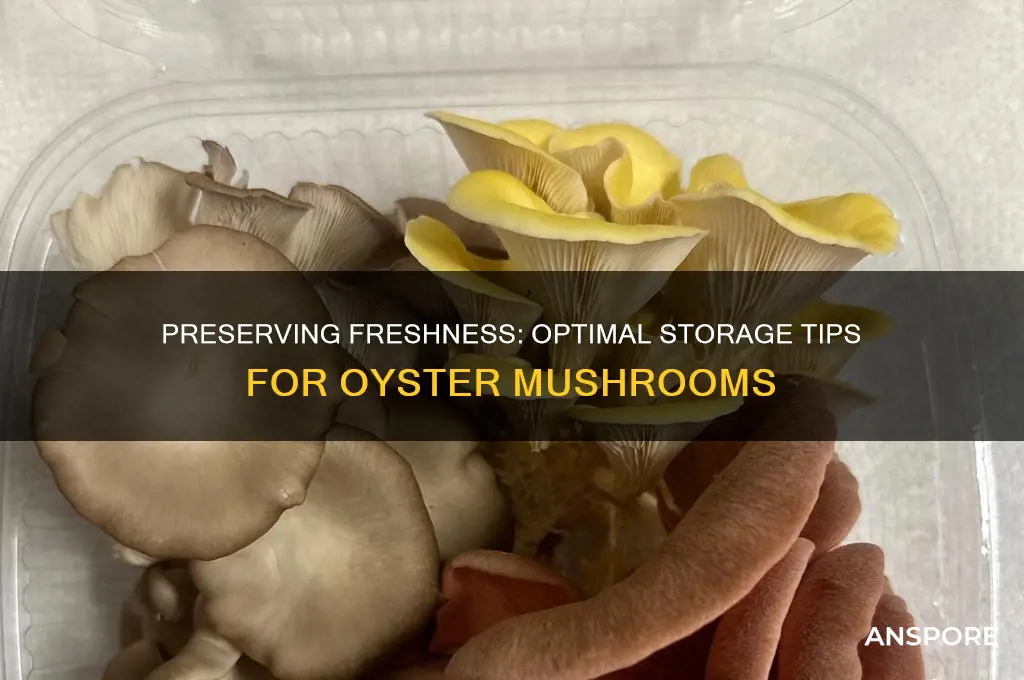 how to store fresh picked oyster mushrooms