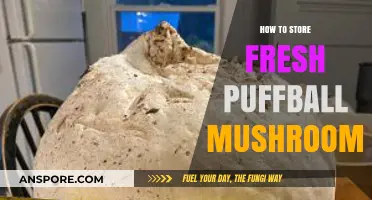 Properly Storing Fresh Puffball Mushrooms: Tips for Longevity and Freshness