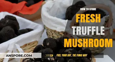 Mastering Truffle Storage: Tips to Preserve Freshness and Aroma