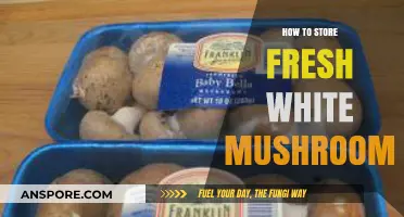 Proper Storage Tips for Keeping Fresh White Mushrooms Longer