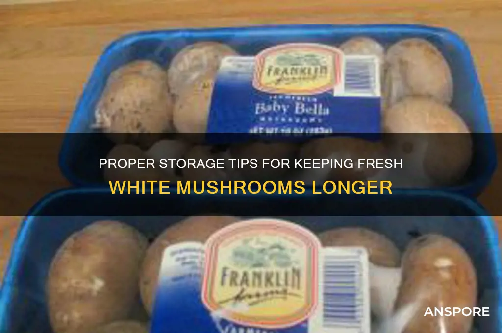 how to store fresh white mushrooms