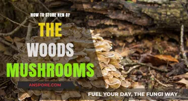 Storing Hen of the Woods Mushrooms: Tips for Freshness and Flavor