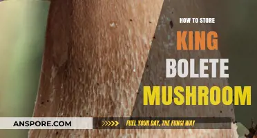 Proper Storage Techniques for Fresh King Bolete Mushrooms at Home