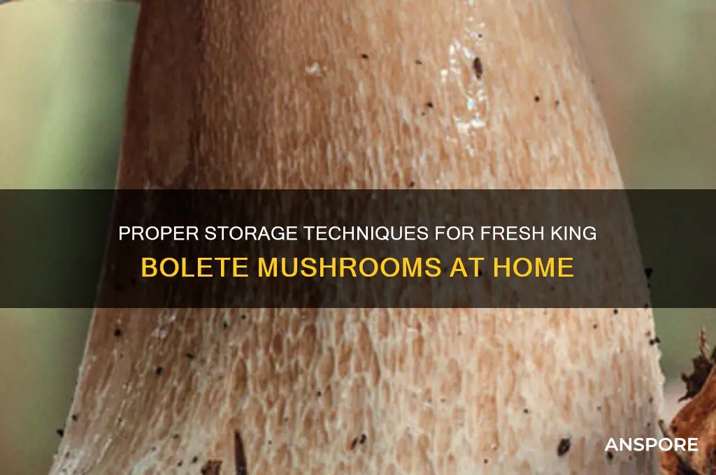 how to store king bolete mushrooms