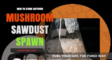 Proper Storage Tips for Leftover Mushroom Sawdust Spawn Preservation