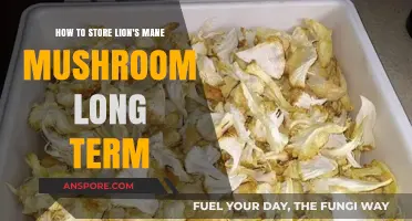 Effective Long-Term Storage Tips for Lion's Mane Mushrooms