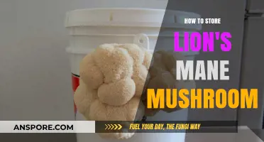 Proper Lion's Mane Mushroom Storage: Tips for Freshness and Longevity