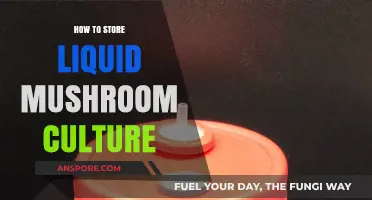 Mastering Liquid Mushroom Culture Storage: Essential Tips for Longevity