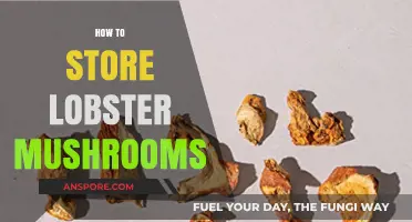 Storing Lobster Mushrooms: Tips and Tricks