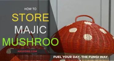 Preserving Magic Mushrooms: Best Storage Methods