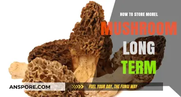 Preserving Morel Mushrooms: Long-Term Storage Tips for Freshness and Flavor
