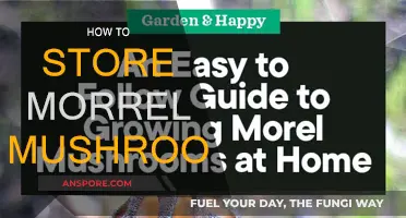 Storing Morrel Mushrooms: Best Practices for Longevity