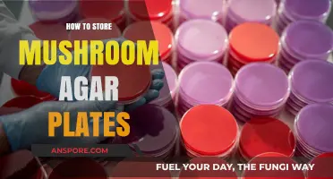 Proper Mushroom Agar Plate Storage: Tips for Longevity and Viability