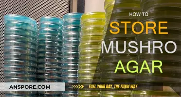 The Best Way to Store Mushroom Agar
