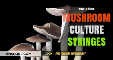 Proper Storage Tips for Mushroom Culture Syringes: A Comprehensive Guide