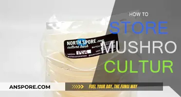 The Ultimate Guide: Storing Mushroom Cultures