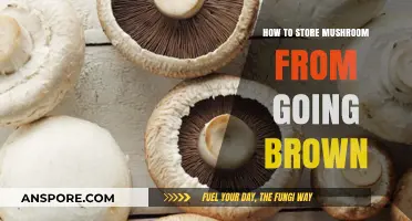 Prevent Mushroom Browning: Simple Storage Tips for Freshness and Flavor