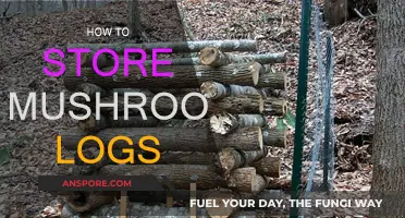 Storing Mushroom Logs: Best Practices