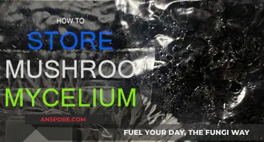 The Ultimate Guide to Storing Mushroom Mycelium