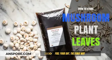 Proper Storage Tips for Preserving Fresh Mushroom Plant Leaves
