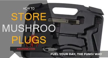 The Best Way to Store Mushroom Plugs