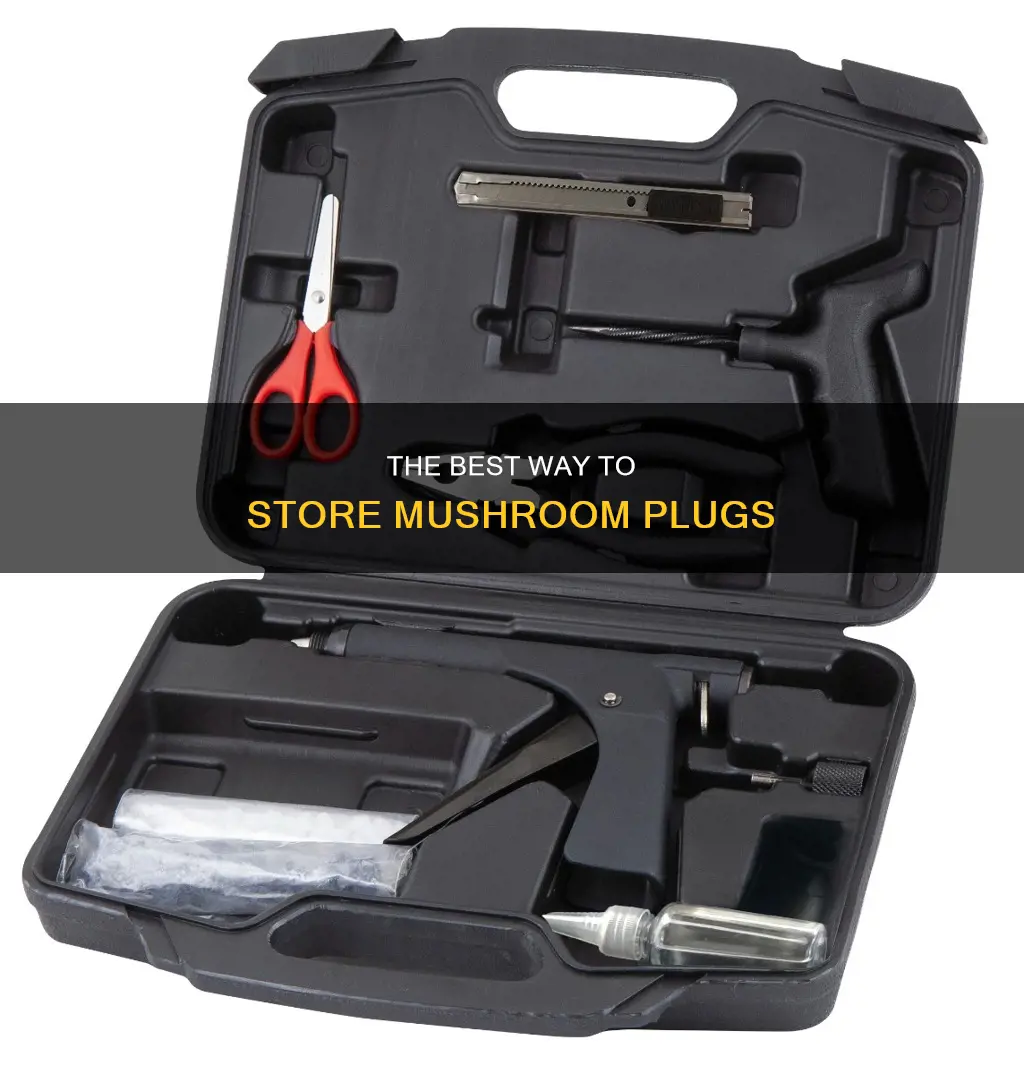 how to store mushroom plugs