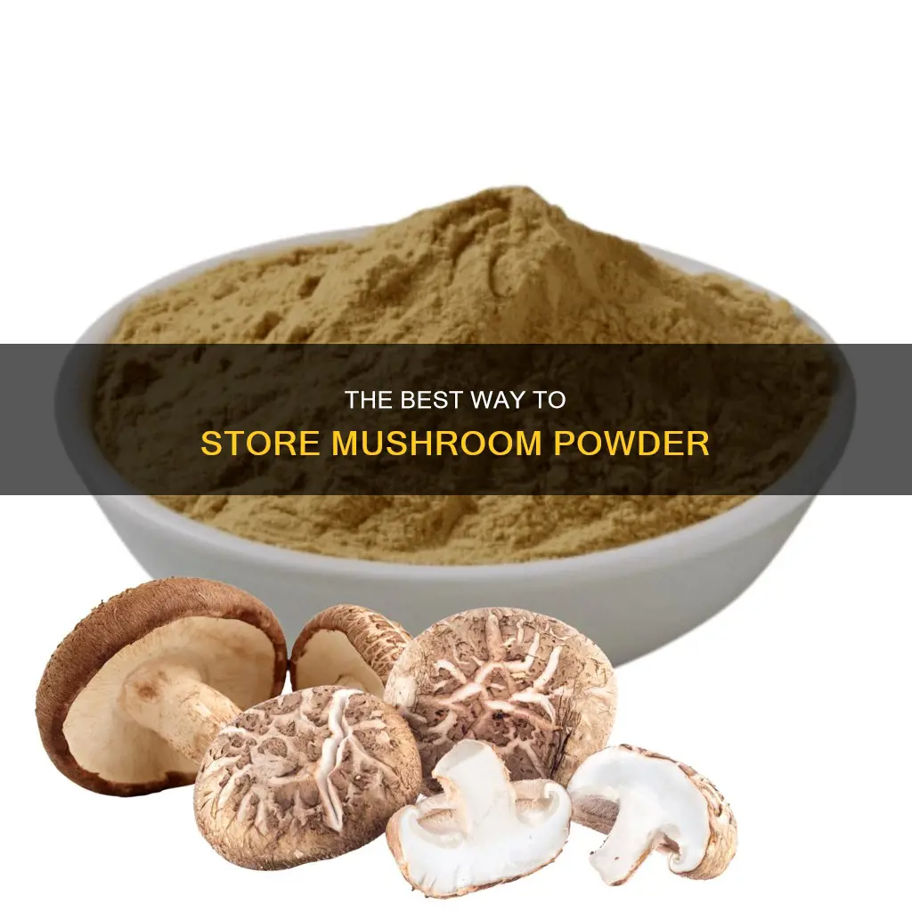 how to store mushroom powder
