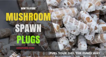 Proper Storage Techniques for Mushroom Spawn Plugs: A Comprehensive Guide