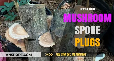 Proper Storage Techniques for Preserving Mushroom Spore Plugs Effectively