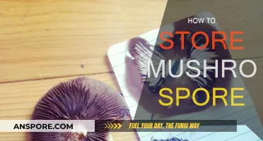 The Ultimate Guide to Storing Mushroom Spores