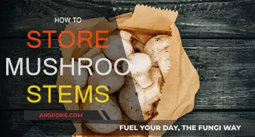Storing Mushroom Stems: Tips for Keeping Them Fresh