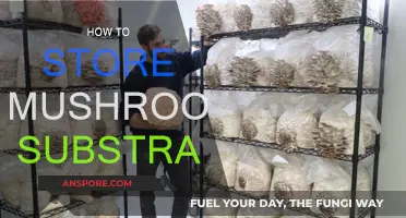 The Ultimate Guide: Storing Mushroom Substrate