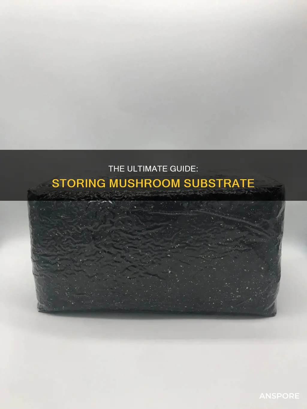 how to store mushroom substrate