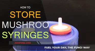 The Ultimate Guide to Storing Mushroom Syringes