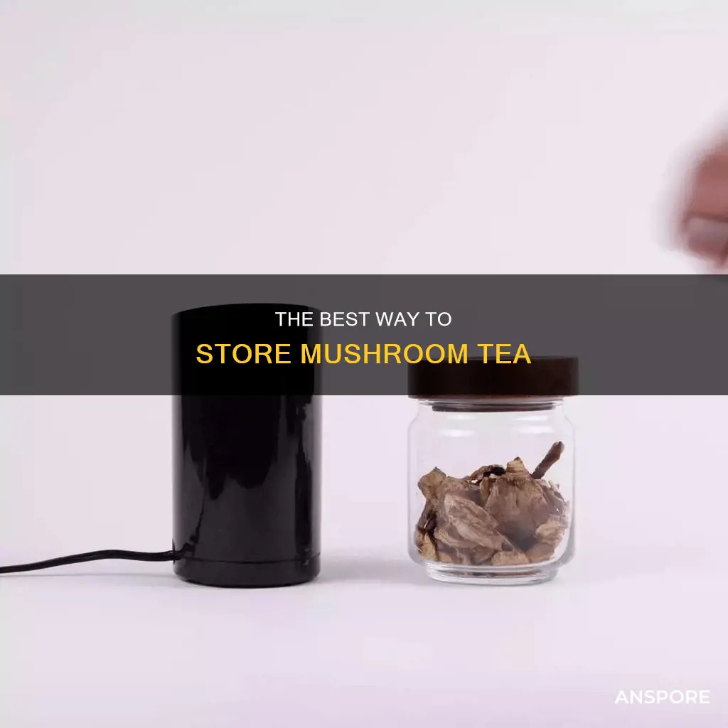 how to store mushroom tea