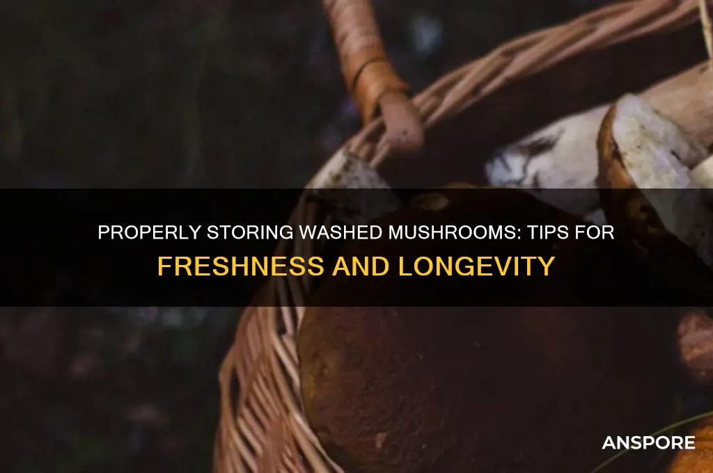 how to store mushroom that already been washed