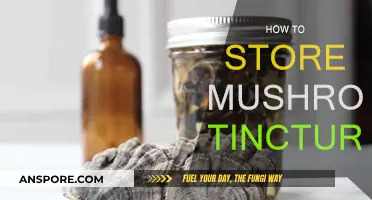 The Best Way to Store Mushroom Tinctures