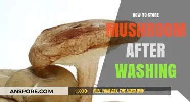 Proper Mushroom Storage Tips: Post-Wash Care for Freshness and Flavor