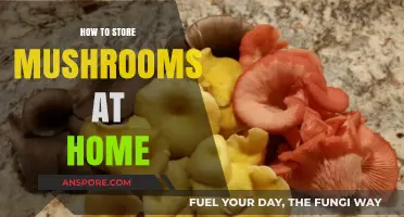 Mastering Mushroom Storage: Tips for Freshness at Home