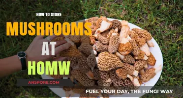Mastering Mushroom Storage: Simple Tips for Freshness at Home