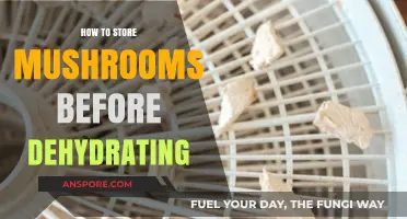 Proper Mushroom Storage Tips for Optimal Dehydration Results